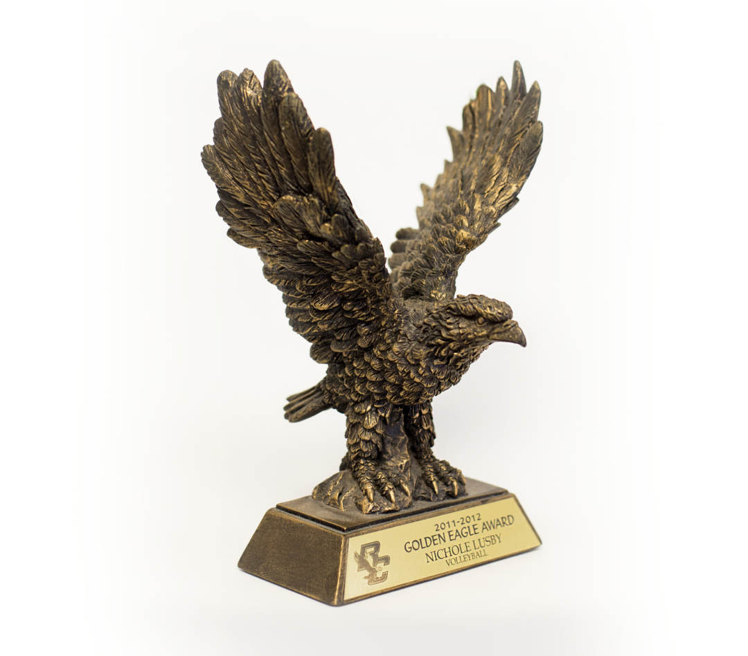 Details about   12" Eagle Resin Trophy Award Free engraved plate and shipping 